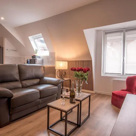 Le Nid Angevin Apartment *