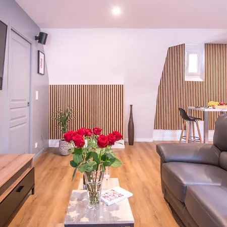 Le Nid Angevin Apartment Angers
